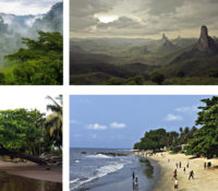 www.investiraucameroun.com